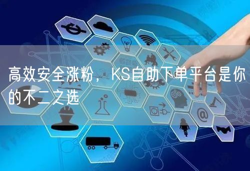 高效安全涨粉，KS自助下单平台是你的不二之选