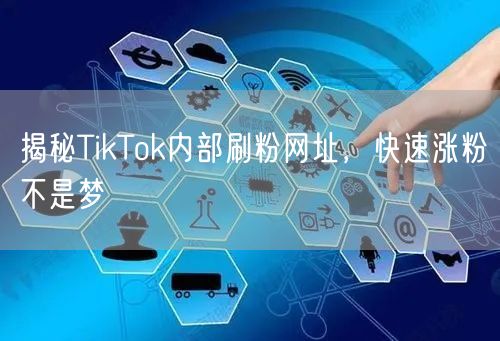 揭秘TikTok内部刷粉网址，快速涨粉不是梦