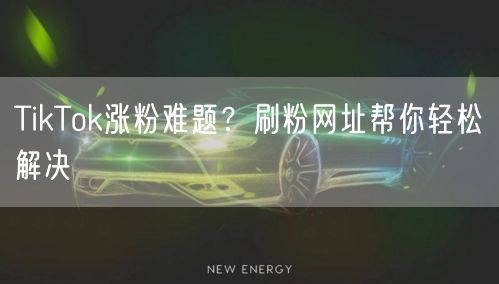 TikTok涨粉难题？刷粉网址帮你轻松解决