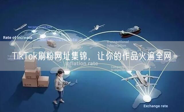 TikTok刷粉网址集锦，让你的作品火遍全网