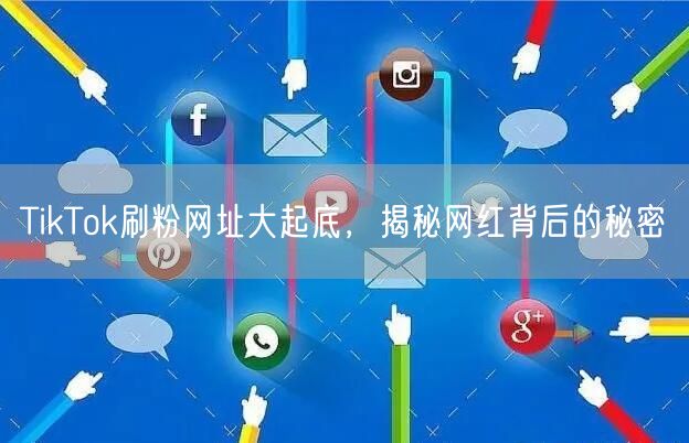 TikTok刷粉网址大起底，揭秘网红背后的秘密
