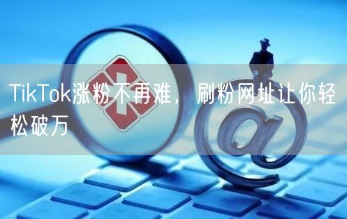 TikTok涨粉不再难，刷粉网址让你轻松破万