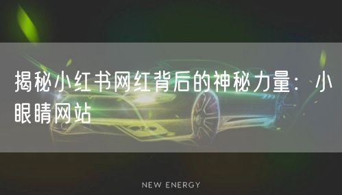 揭秘小红书网红背后的神秘力量：小眼睛网站