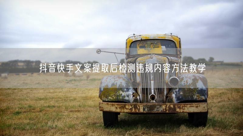 抖音快手文案提取后检测违规内容方法教学