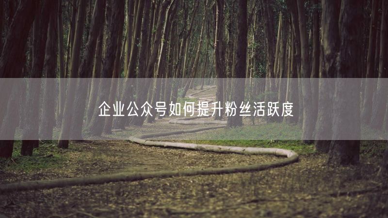 企业公众号如何提升粉丝活跃度
