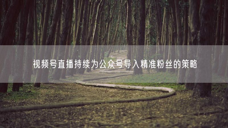 视频号直播持续为公众号导入精准粉丝的策略