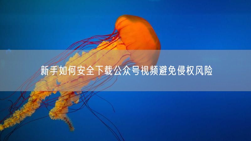 新手如何安全下载公众号视频避免侵权风险