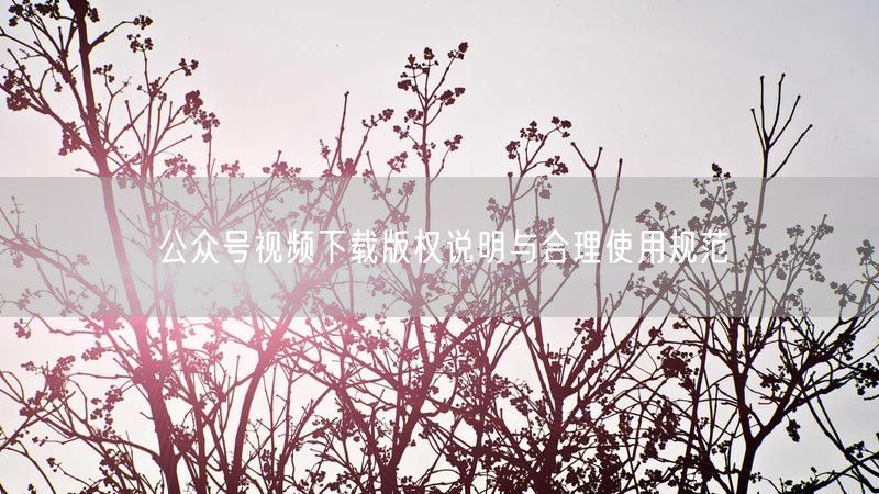 公众号视频下载版权说明与合理使用规范