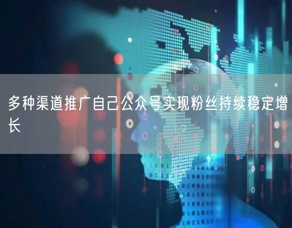 多种渠道推广自己公众号实现粉丝持续稳定增长