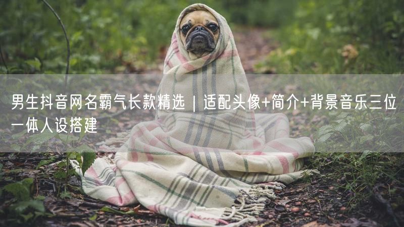 男生抖音网名霸气长款精选｜适配头像+简介+背景音乐三位一体人设搭建