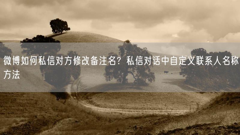 微博如何私信对方修改备注名？私信对话中自定义联系人名称方法