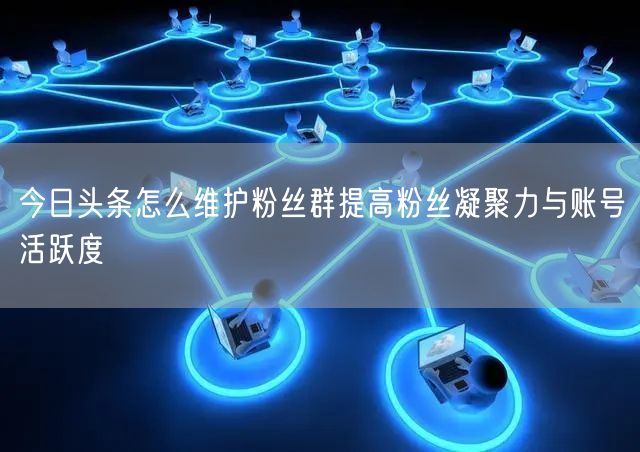 今日头条怎么维护粉丝群提高粉丝凝聚力与账号活跃度