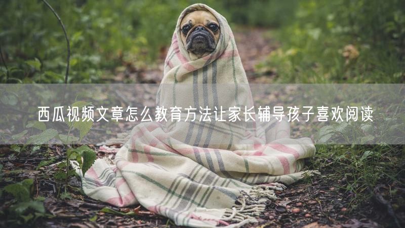 西瓜视频文章怎么教育方法让家长辅导孩子喜欢阅读