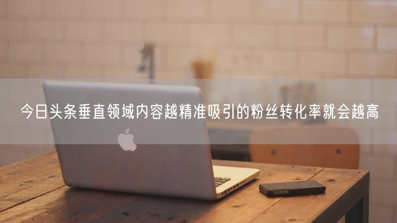 今日头条垂直领域内容越精准吸引的粉丝转化率就会越高