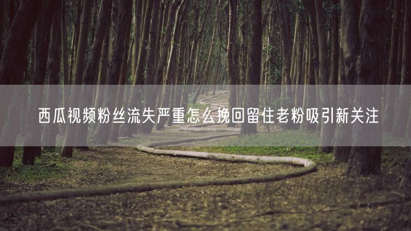 西瓜视频粉丝流失严重怎么挽回留住老粉吸引新关注