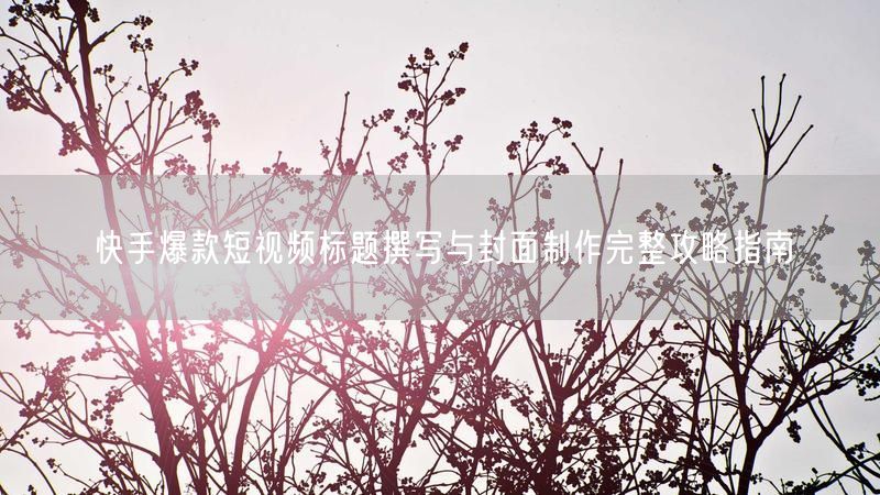 快手爆款短视频标题撰写与封面制作完整攻略指南
