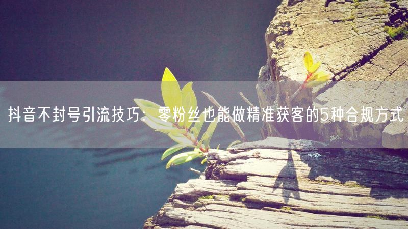 抖音不封号引流技巧：零粉丝也能做精准获客的5种合规方式