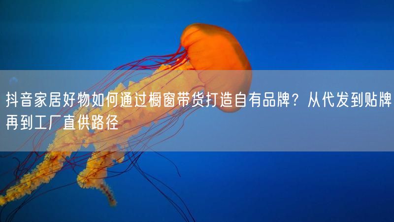 抖音家居好物如何通过橱窗带货打造自有品牌？从代发到贴牌再到工厂直供路径