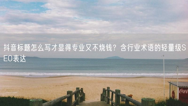 抖音标题怎么写才显得专业又不烧钱？含行业术语的轻量级SEO表达