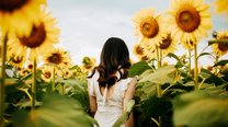 韩系简约抖音昵称带天气语法｜“阴转晴”“薄云层”“湿度65%”式冷静表达
